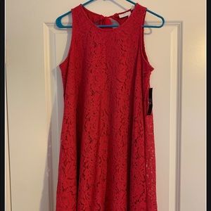 Pink lace NY & Company dress